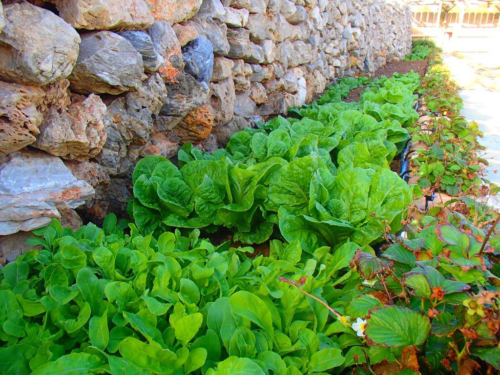 Pavlosx2 Hotel Folegandros Town Exterior photo